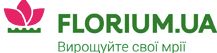 Пользователь Флориум